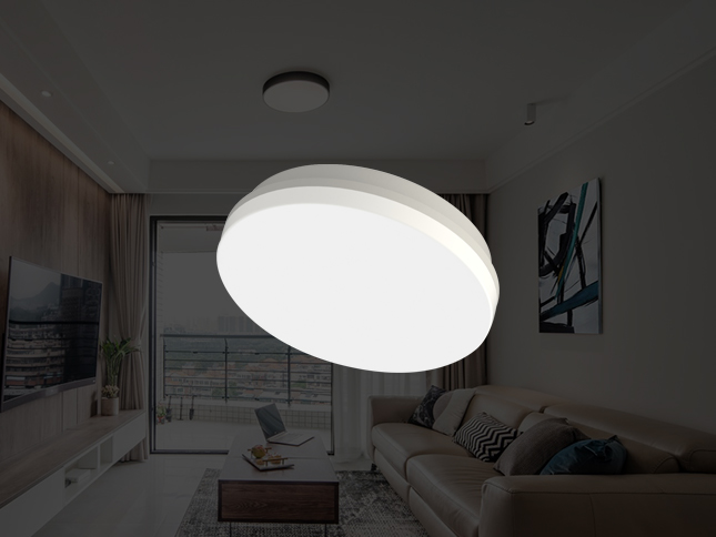 LED Ceiling Lamp